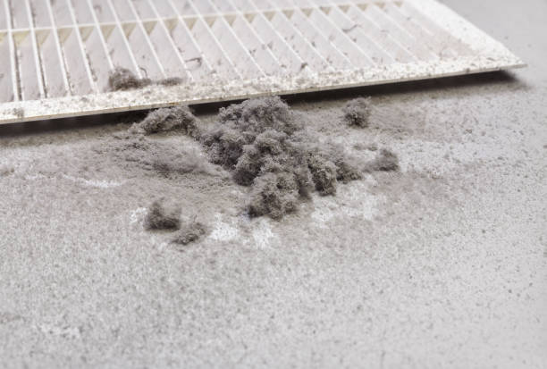 Best Professional Duct Cleaning Services  in Tarentum, PA